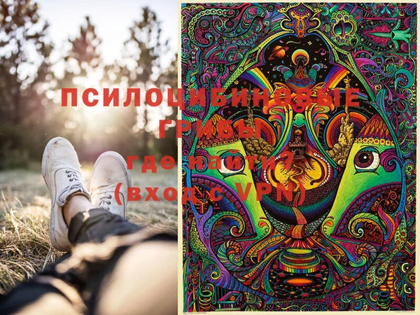 первитин Алексин