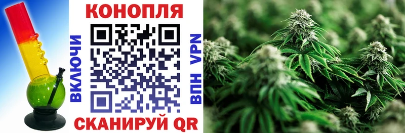 Каннабис ГИДРОПОН  закладки  Любим 
